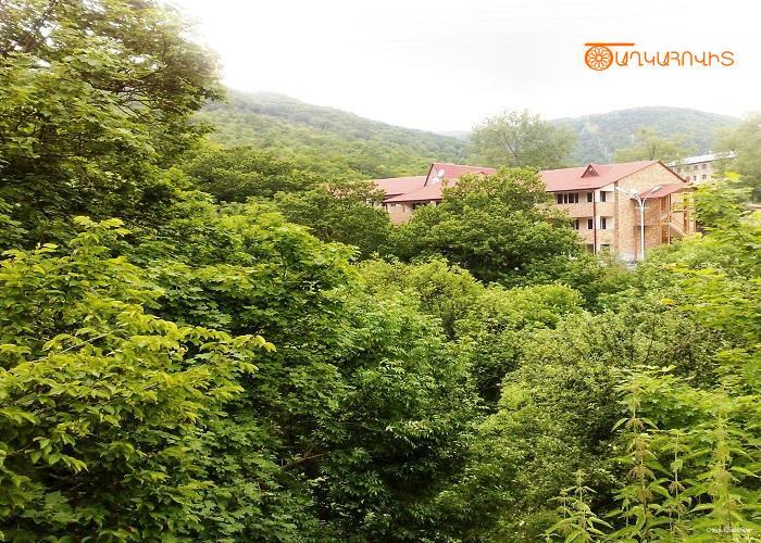 Фото Гостиница Цахкаовит