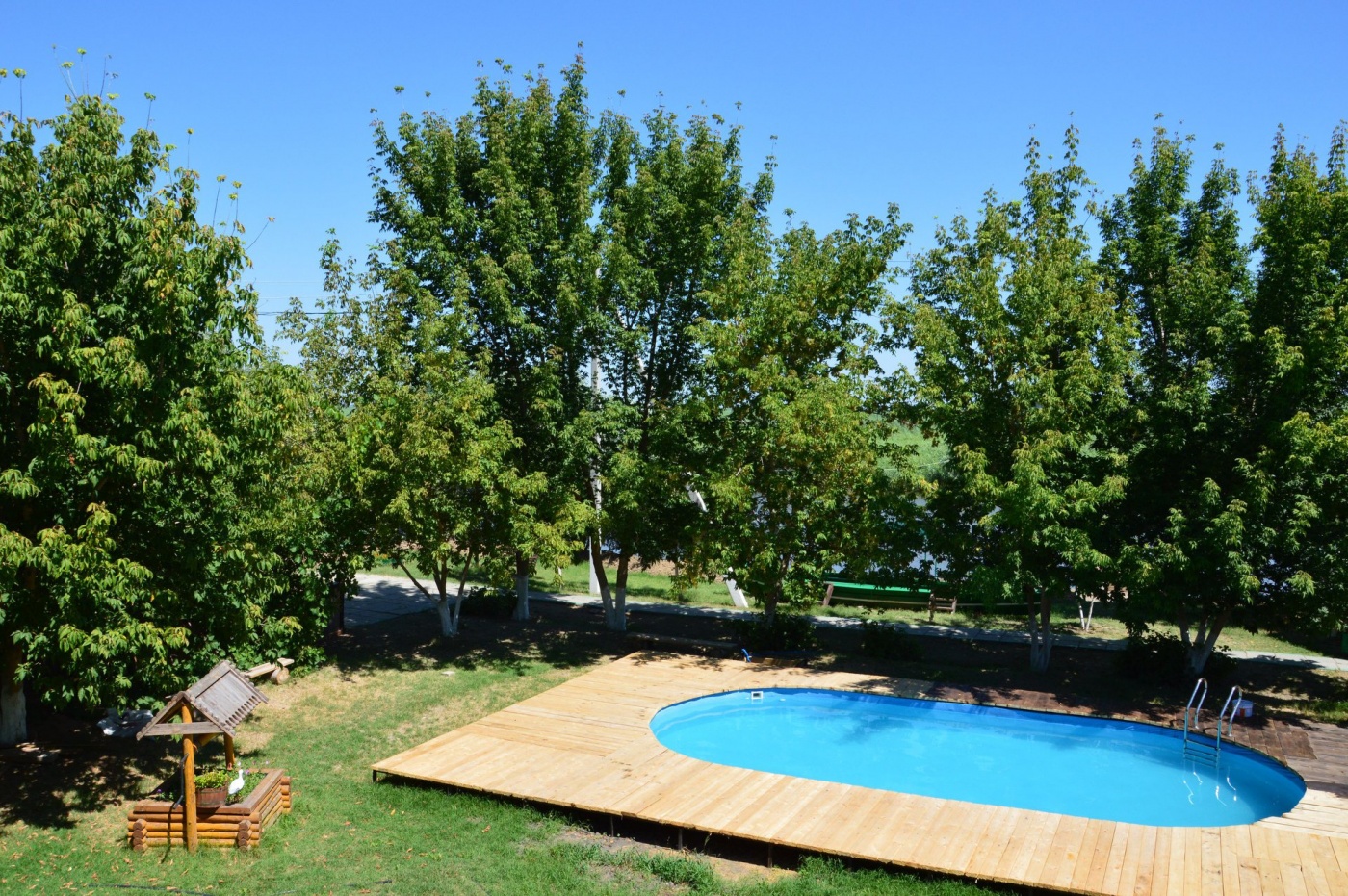 Фото Золотой Лотос