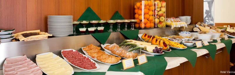 Фото Hotel Vienna