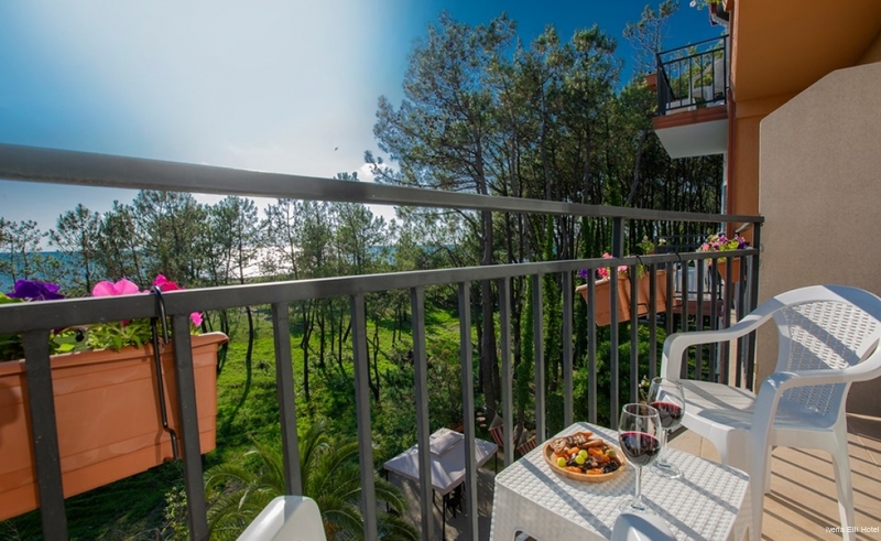 Фото Iveria Elli Hotel