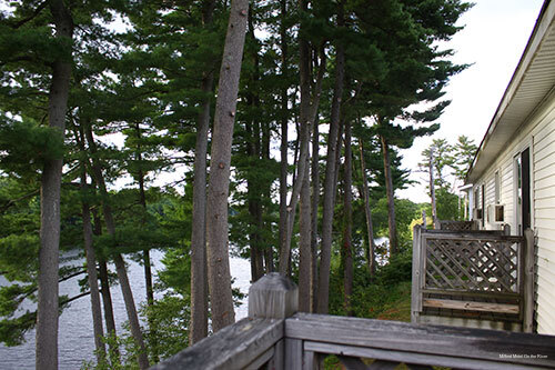 Фото Milford Motel On The River