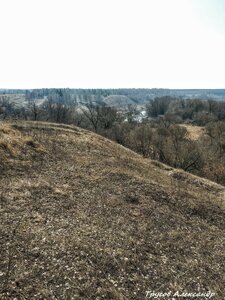 Городище Торкуновка (Oryol Region, Mtsenskiy rayon, Dumchinskiy les), landmark, attraction