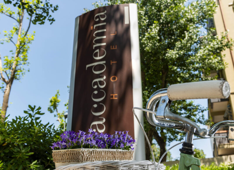 Фото Accademia Rimini