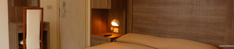 Фото Hotel Edelweiss