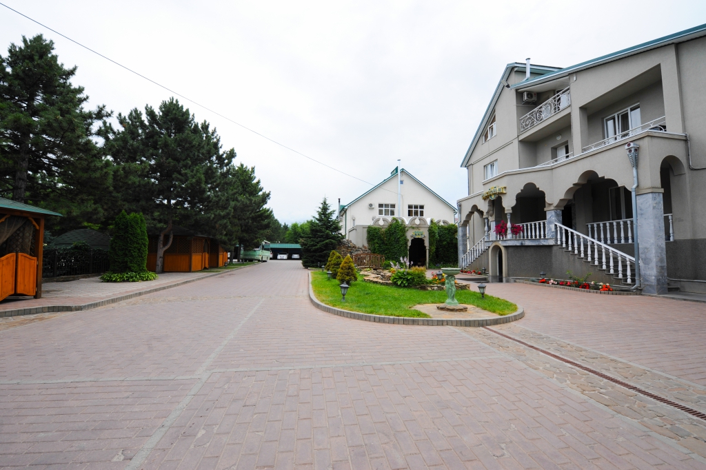 Фото Эдельвейс