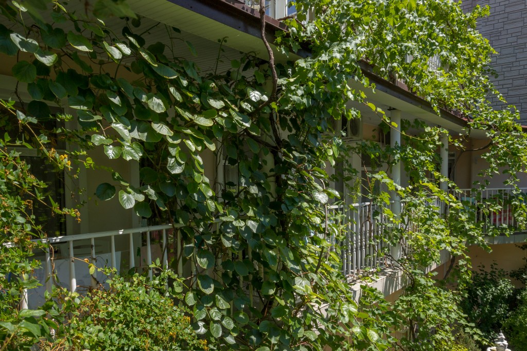 Фото Гостевой дом на Украинской