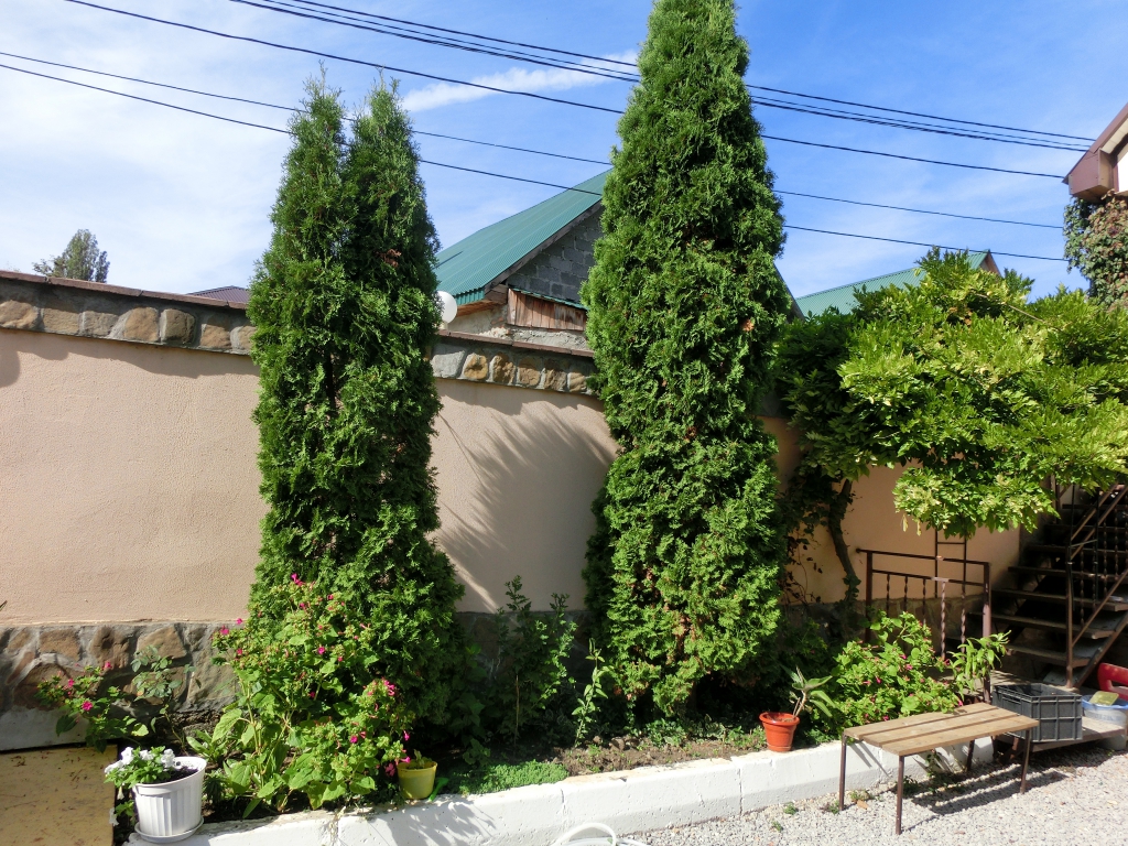 Фото У реки