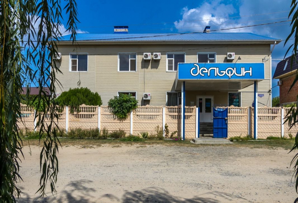 Фото Дельфин