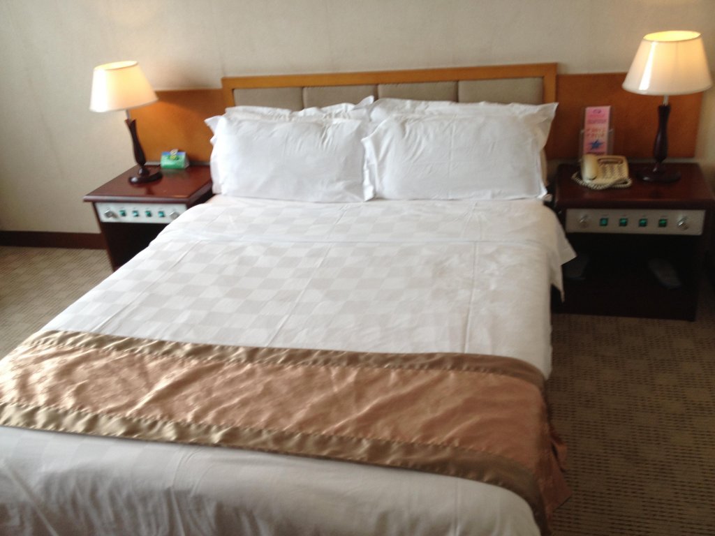 Фото Shenzhen Overseas Chinese Hotel