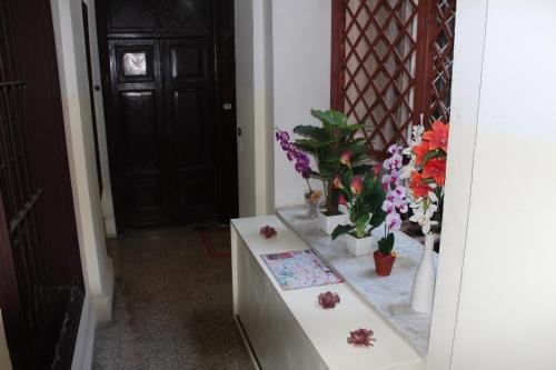 Фото Отель Romalive