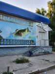 Рыболов (ulitsa Lenina, 39А), artículos para pescar
