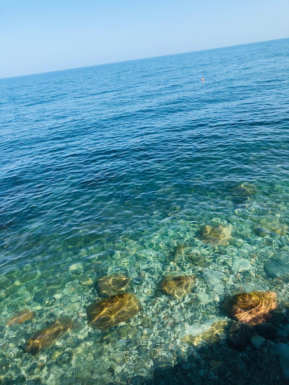 Фото The Sofi Family House