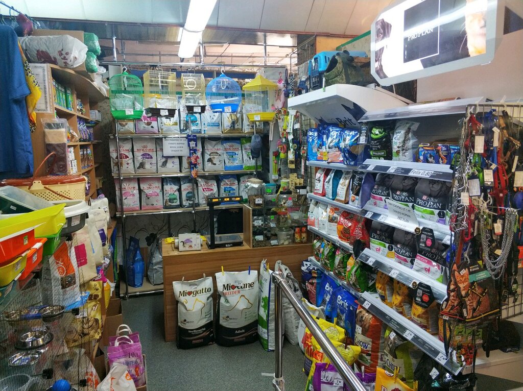 Мистер Пес Зоомагазин Гомель Интернет Магазин