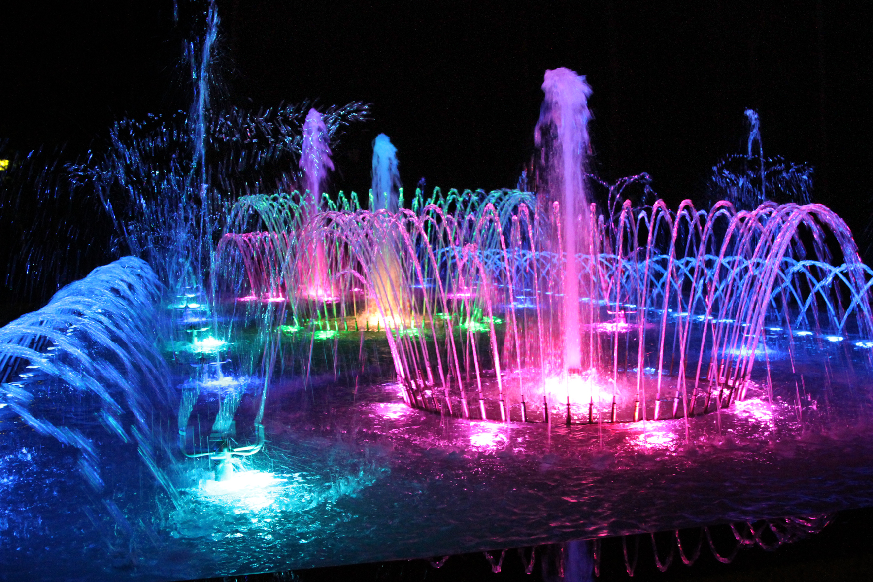 Фото Ромашкино