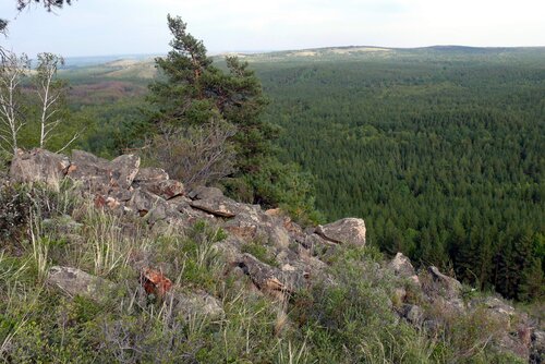 Карагайский бор  фото 1