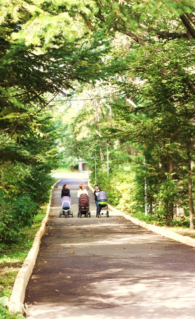 Фото Седанка Парк