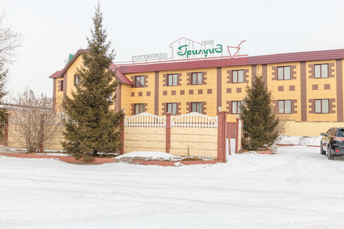 Гостиница Грилуиз в Красноярске