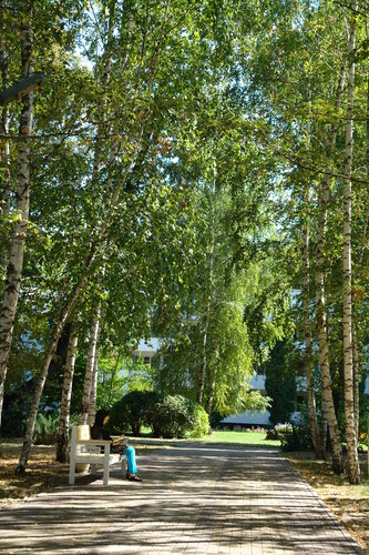 Санаторий Санаторий им. Ф. Э. Дзержинского в Воронежской области