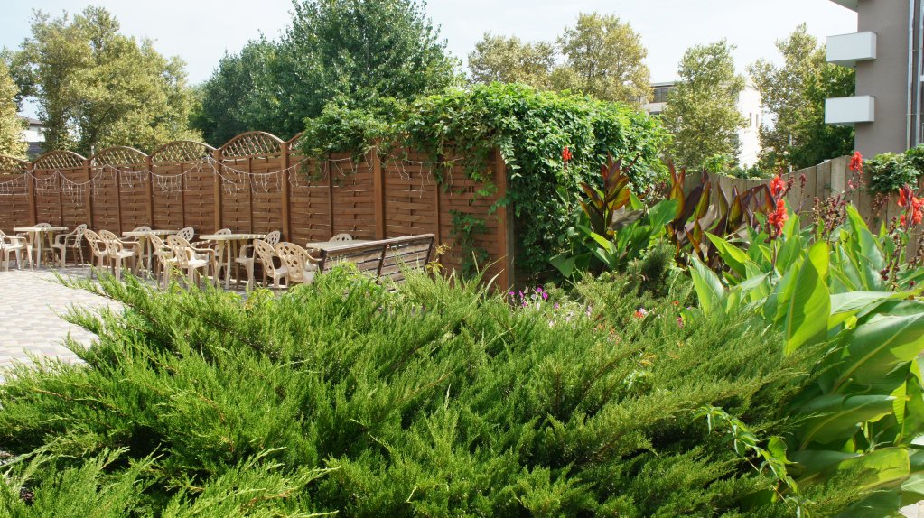 Фото Бумеранг