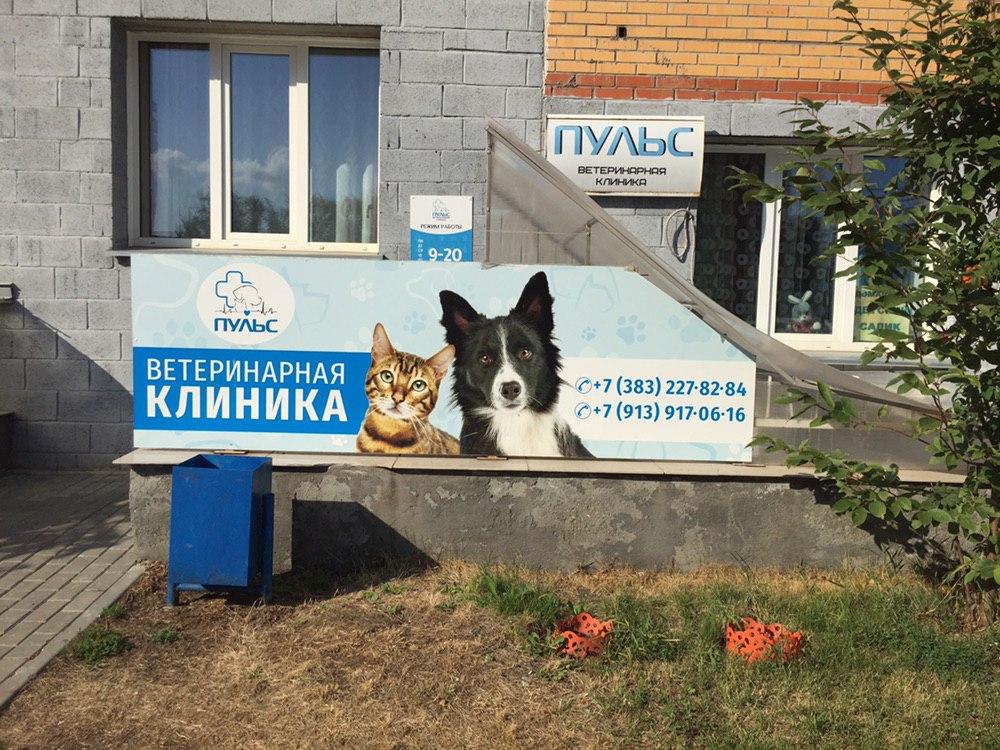 Отзывы о ветеринарной клинике Пульс на Праволинейной улице в Быково, Москва - Zo