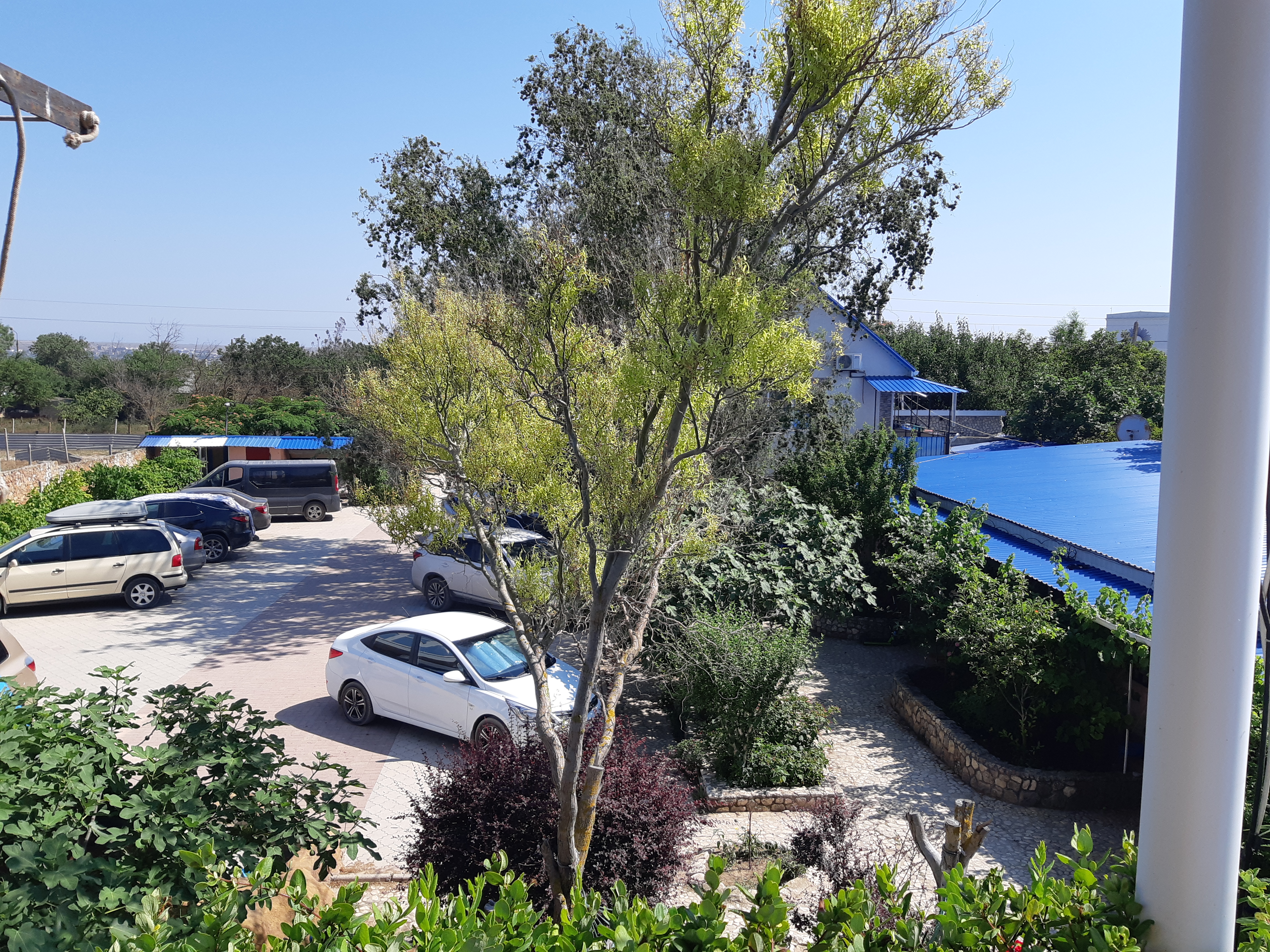 Фото Крабовая бухта