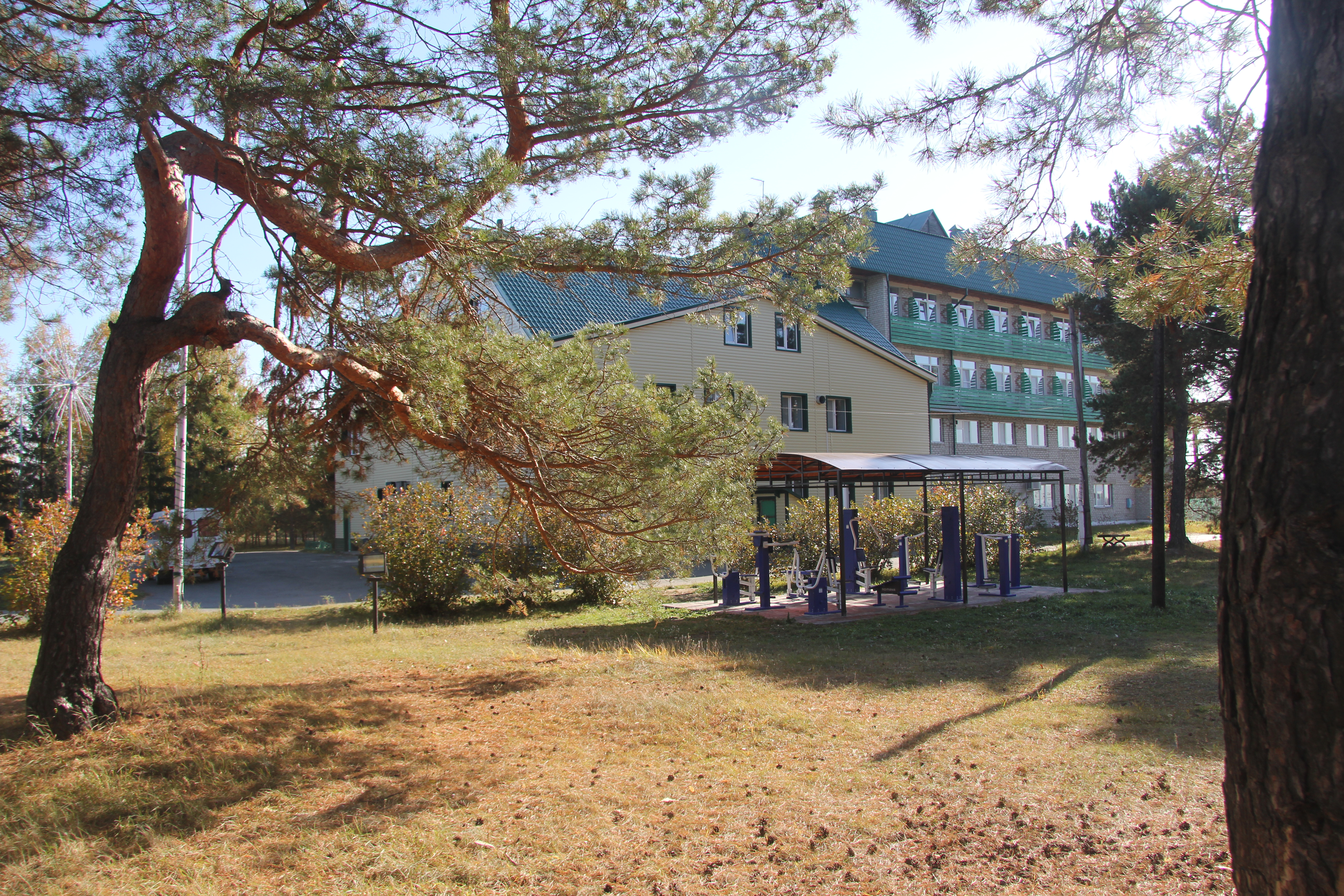 Фото Сосновый Бор