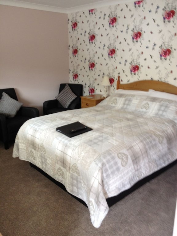 Фото The New Inn Motel