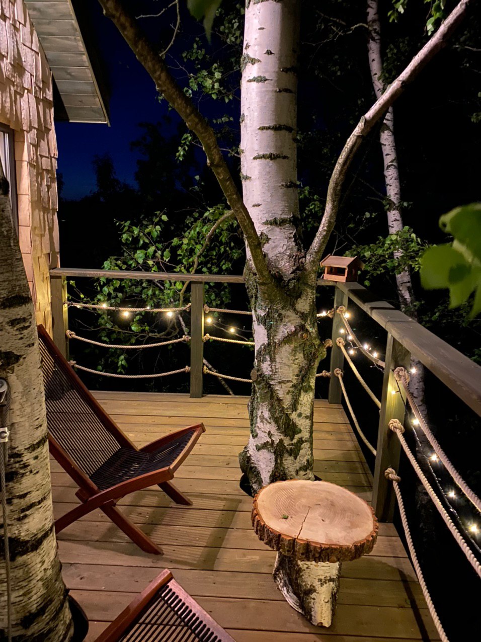 Фото Лапочкино гнездо Дома на деревьях