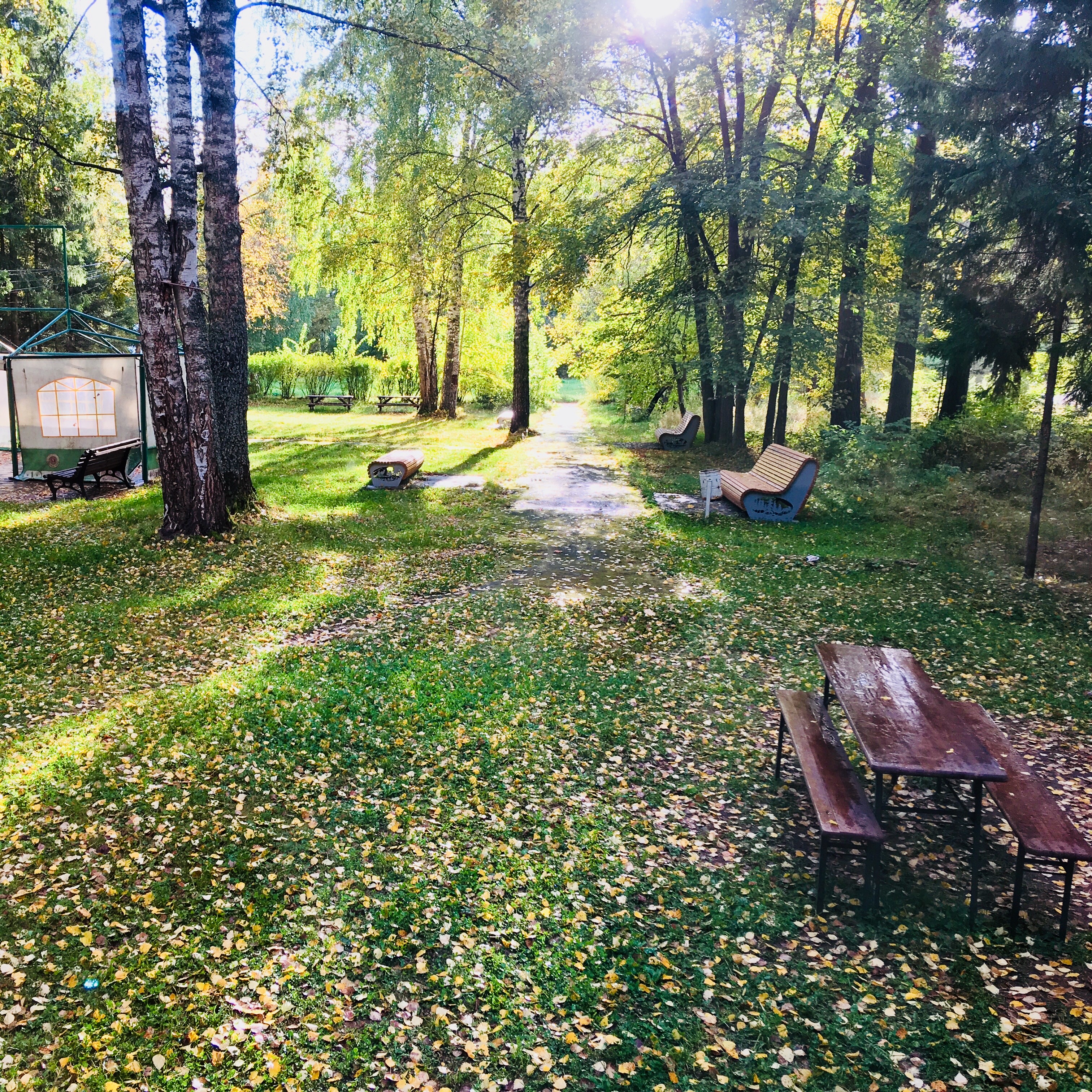 Фото Тихий Лес