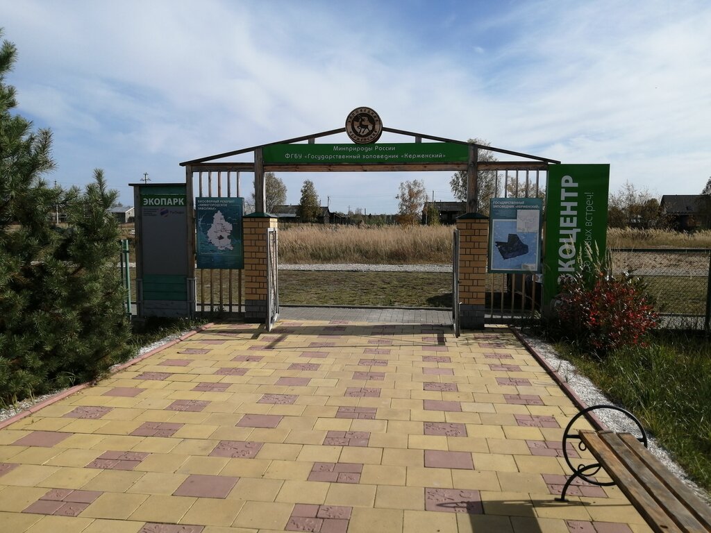 Urban forest Federal State Budgetary Institution Kerzhensky State Reserve, Nizhny Novgorod, photo