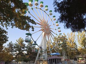 Ferris Wheel (Namangan, Bobur nomidagi madaniyat va istirohat bogʻi), atracción