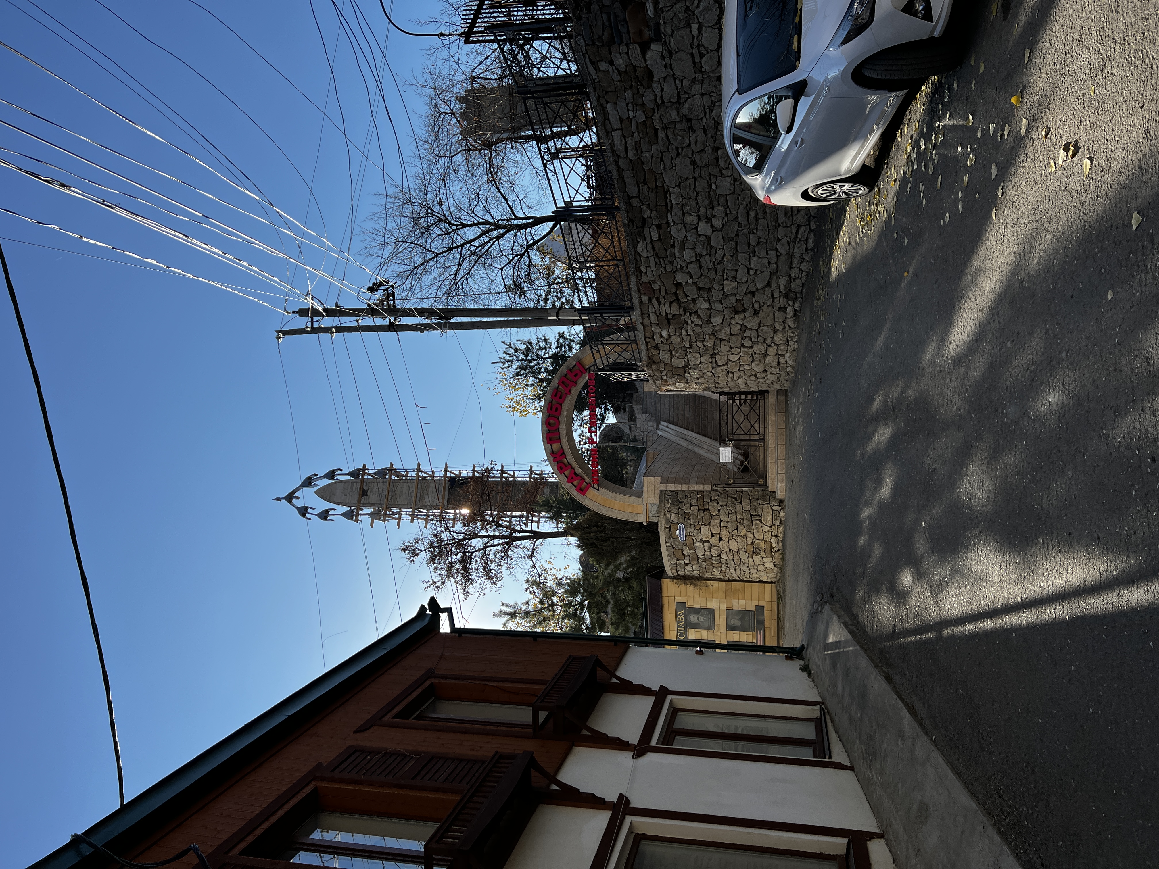 Фото Белые Журавли