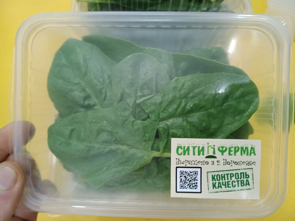 Industrial enterprise СитиФерма, Voronezh, photo