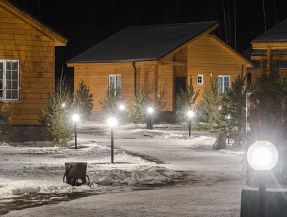 Фото Золотые Караси