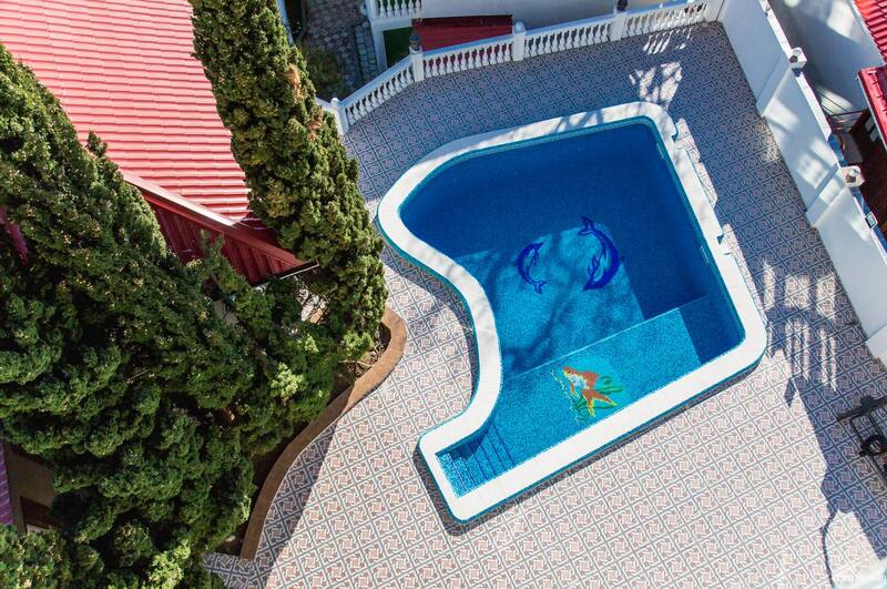 Фото Климентина