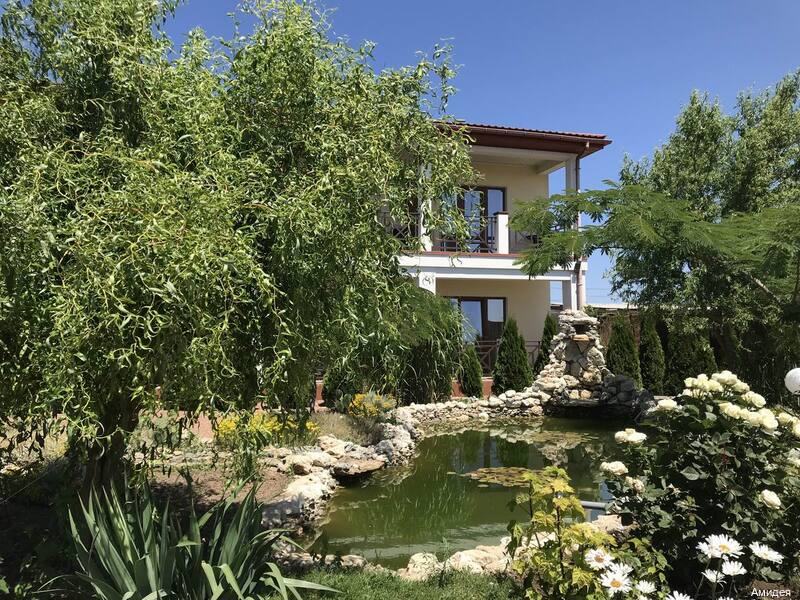 Фото Амидея