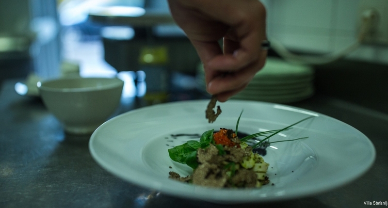 Фото Villa Stefanija