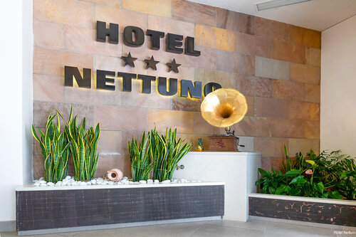 Гостиница Hotel Nettuno