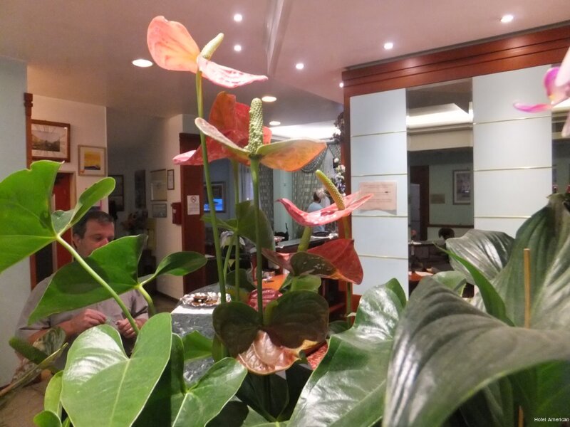 Фото Hotel American