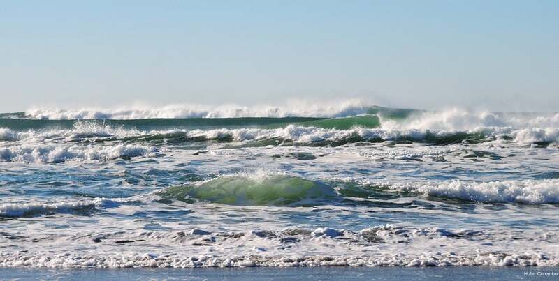 Фото Hotel Colombo