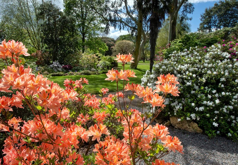 Фото Belmond Hotel Splendido