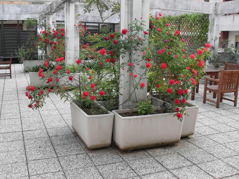 Фото Albergo Residence Italia