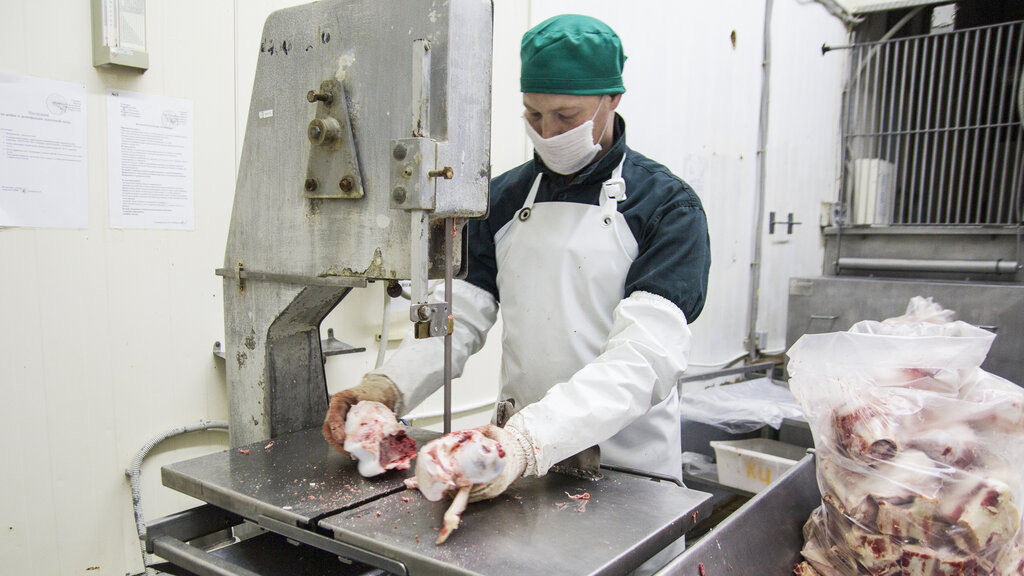 Food manufacturers LLC Yadrinskiy myasokombinat Chuvashpotrebsoyuza, Yadrin, photo