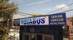 Havabus (İstanbul, Beyoğlu, Kocatepe Mah., Lamartin Cad., 40), bus transportation