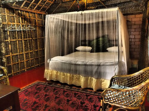Гостиница Palm Trees Ayurvedic Heritage