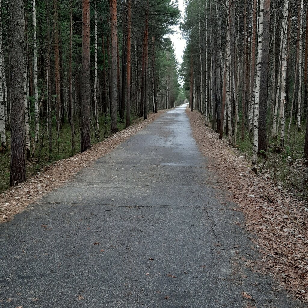 Парки в сургуте