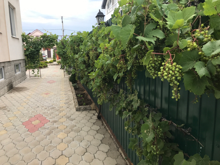 Фото Альпийский двор