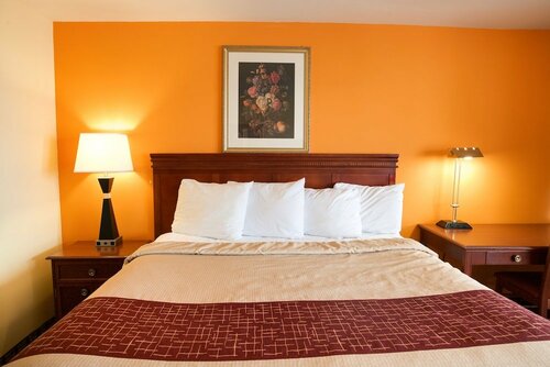 Гостиница Highlander Motel в Афинах
