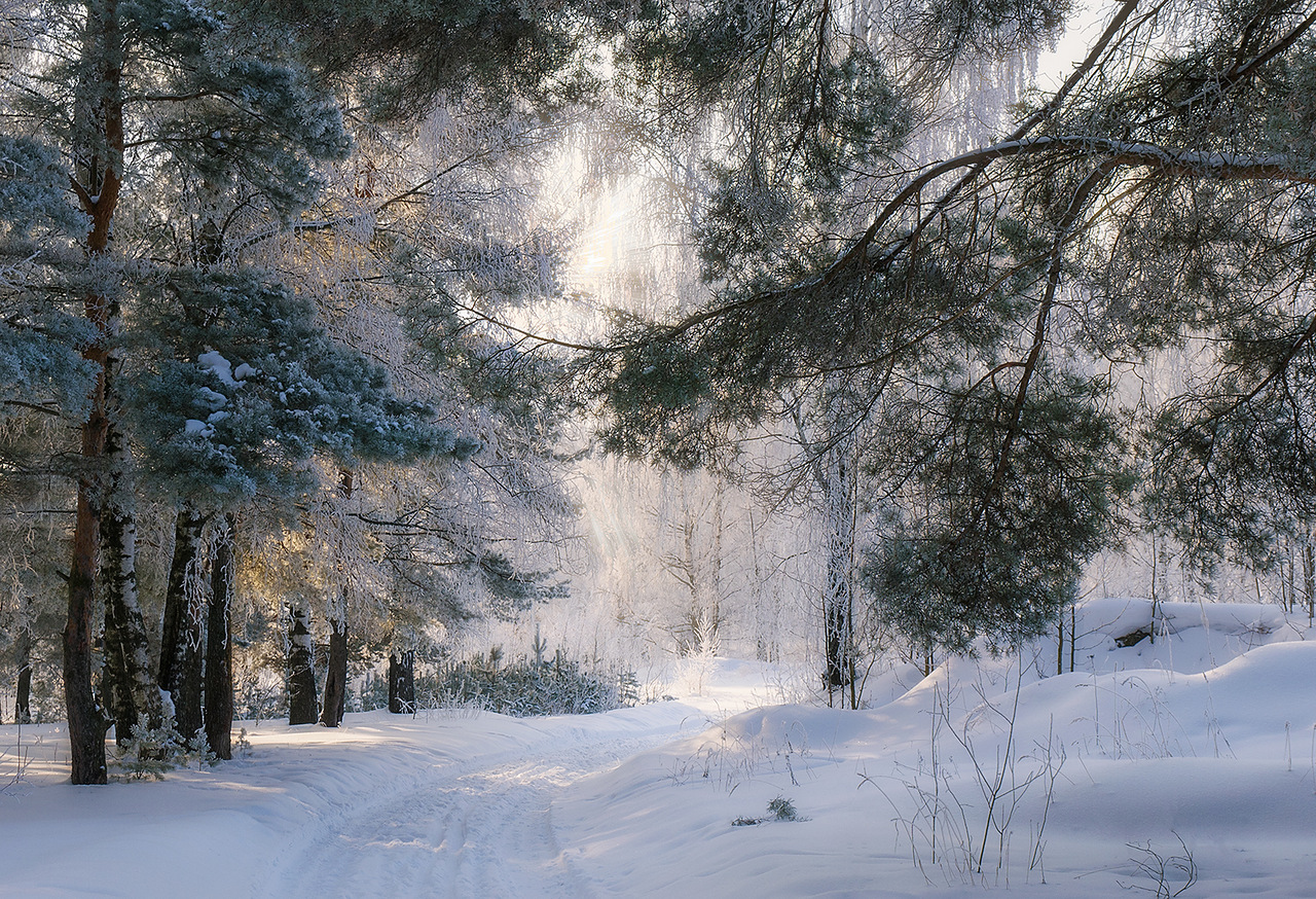 Фото Солотча