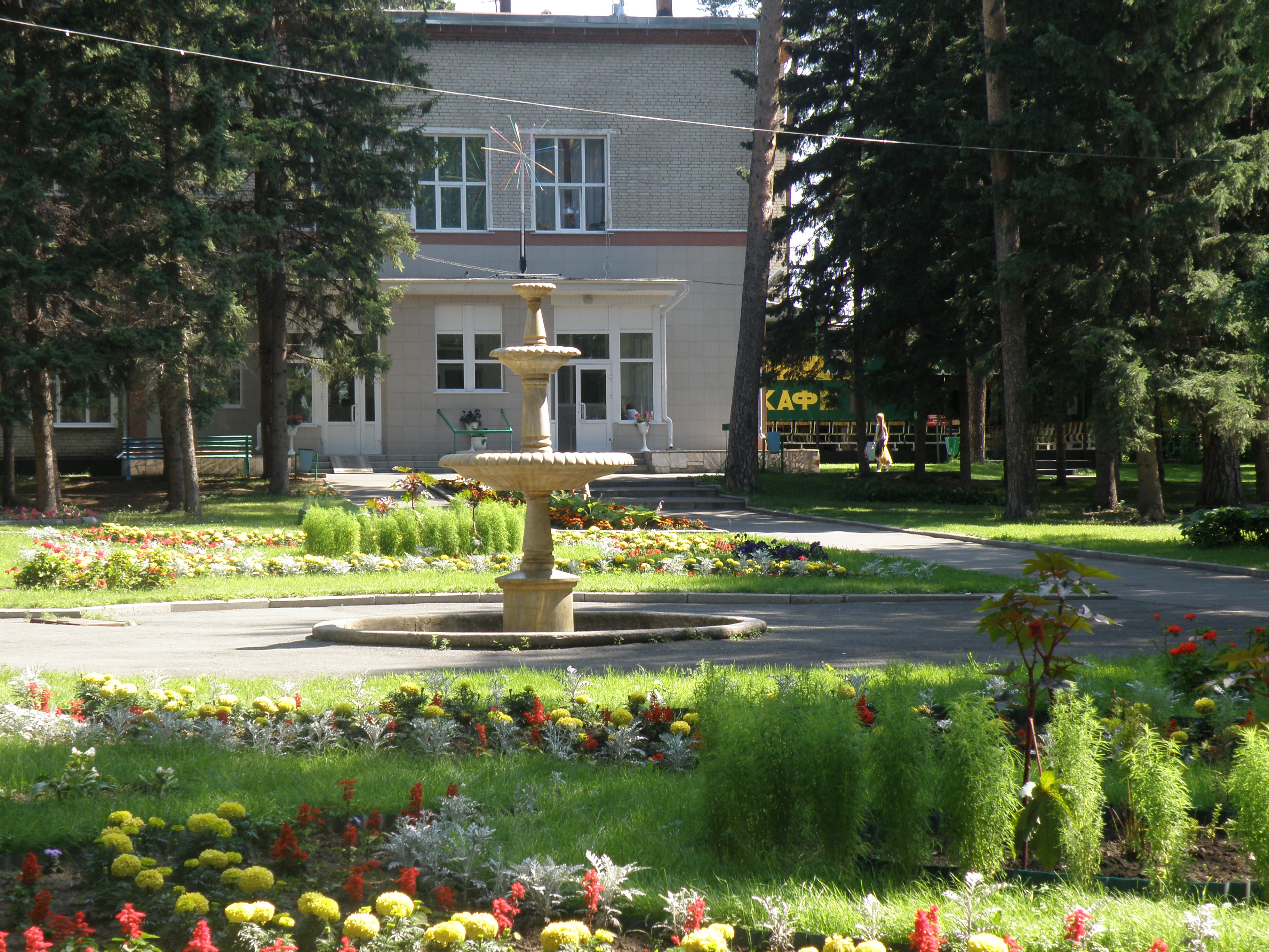 Фото Сосновый бор